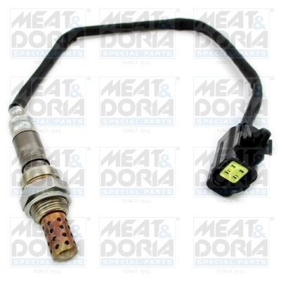 Oxygen Sensor